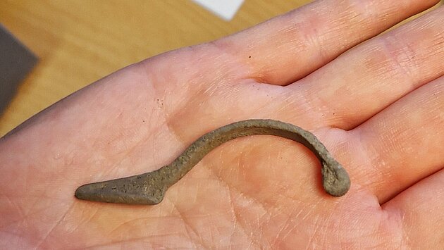 Fibula